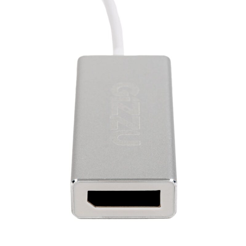 Gizzu 4K60Hz Type-C to DisplayPort Adapter