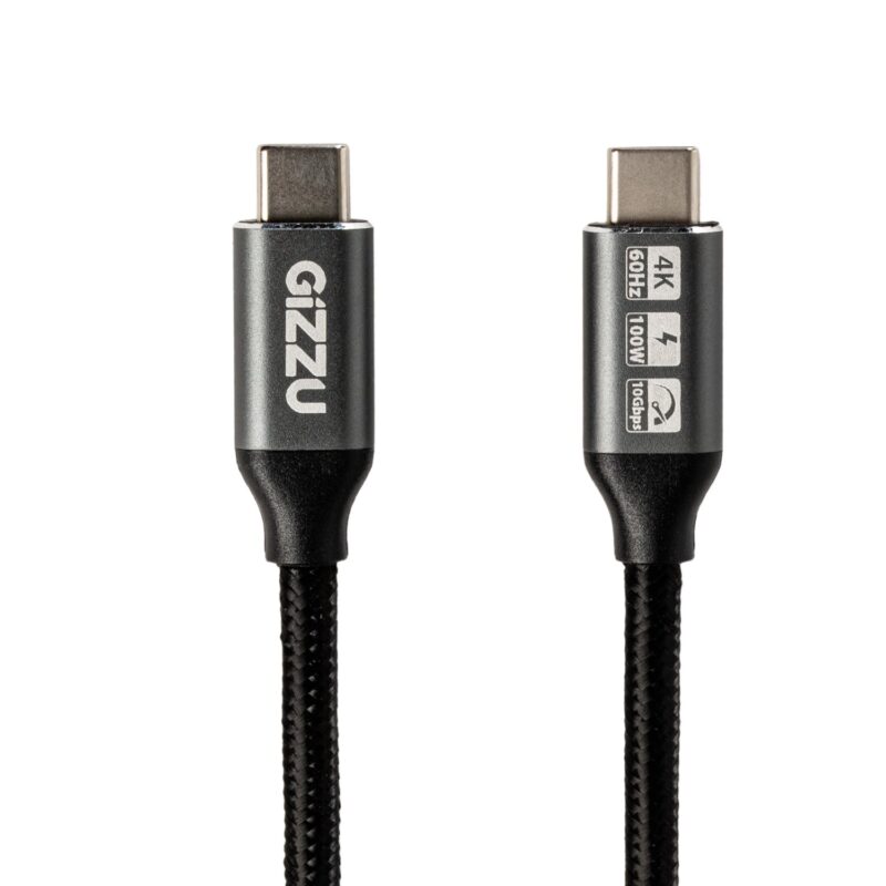 GIZZU 100W 10Gbps Type-C 1m Cable